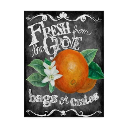 Art Licensing Studio 'Fresh From The Grove' Canvas Art,35x47